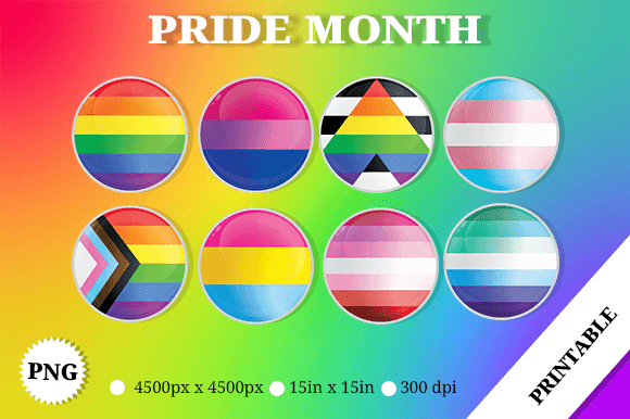 Lgbtqa Pride Circle Flag